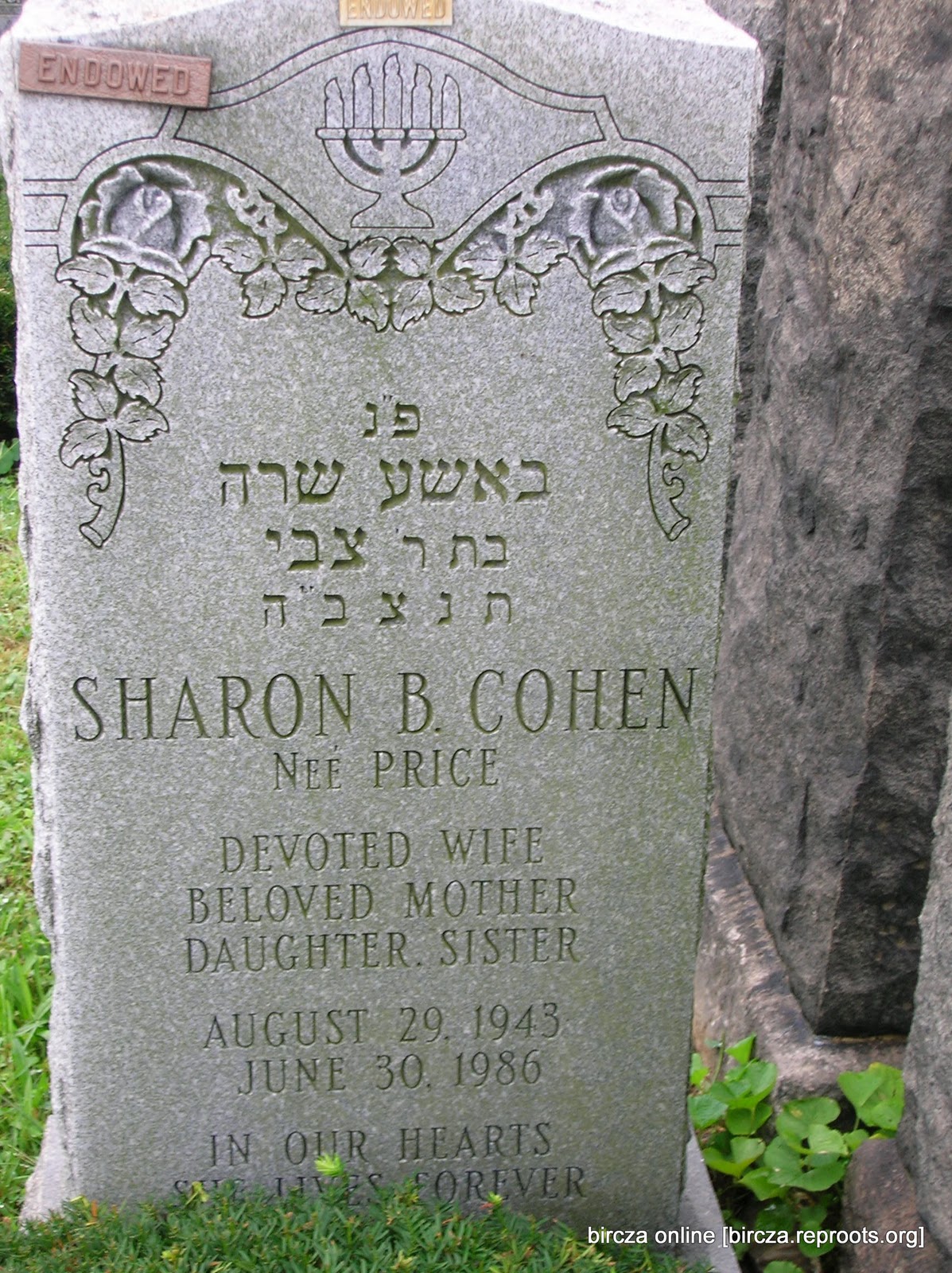 Bircza Online! Bircza area lists